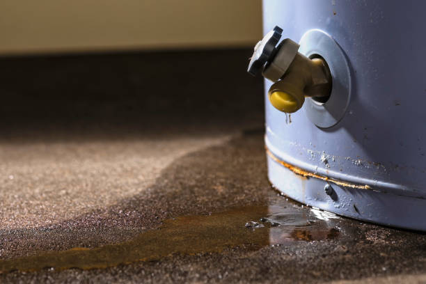 Best Carpet water damage restoration  in Niles, MI