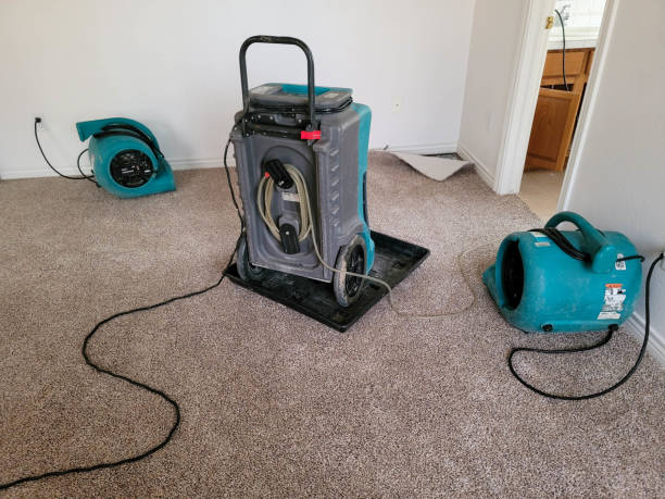 Best Water damage repair service  in Niles, MI