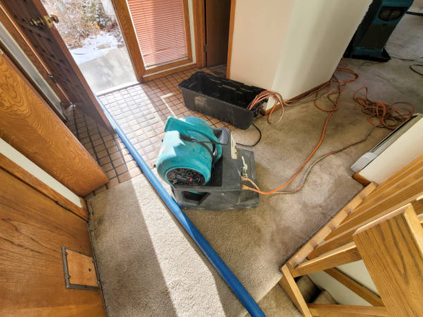 Best Water damage restoration mold remediation  in Niles, MI
