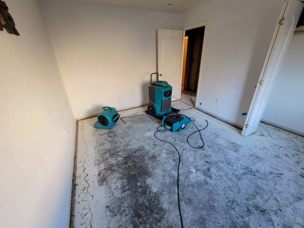 Best Water damage contractors near me  in Niles, MI