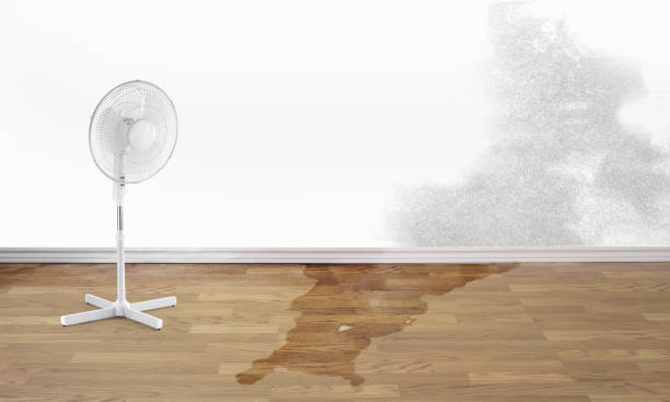Best Sewage cleanup and water damage restoration  in Niles, MI