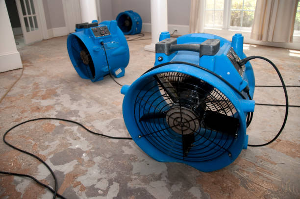 Best Water damage restoration near me  in Niles, MI