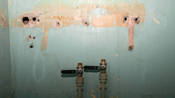 Best Local water damage restoration  in Niles, MI