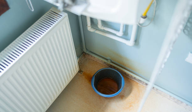 Best Water damage cleanup near me  in Niles, MI