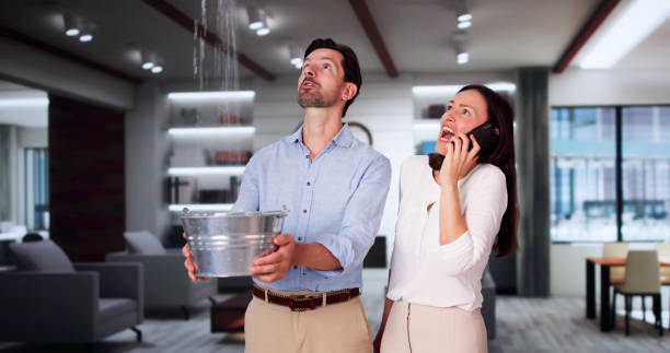 Best Mold removal after water damage  in Niles, MI